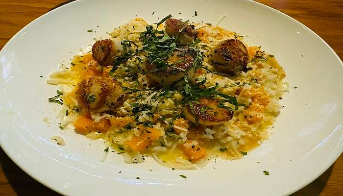 A delicious plate of Scallops with Butternut Squash Risotto, a delicacy at Cucina