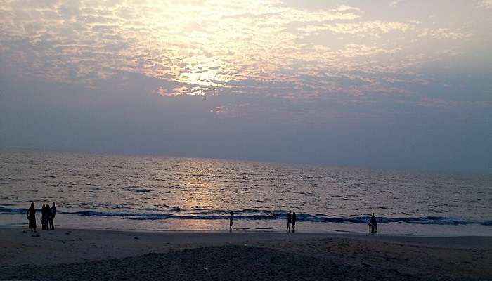 dolphin’s can be seen at kappad beach