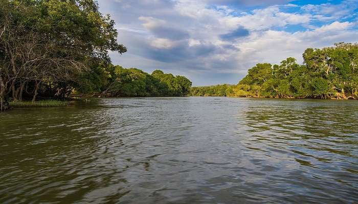 River Kaveri flowing along the shores.