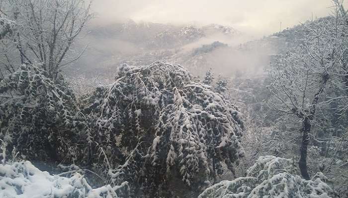 Durée idéale pour des vacances à Shimla