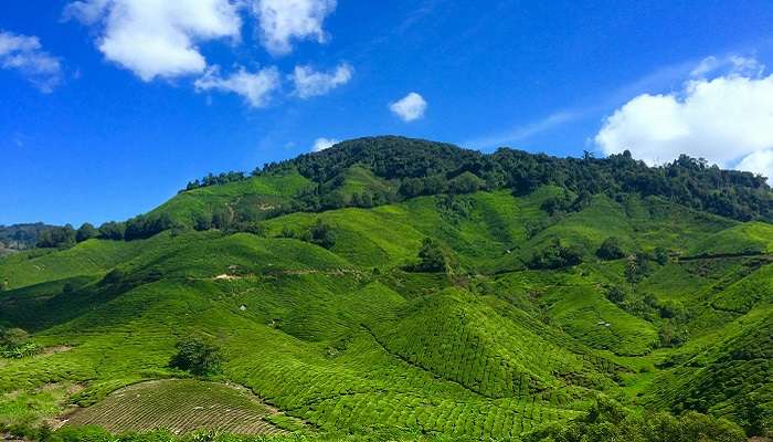 Embark on a trek on Durtlang Hills