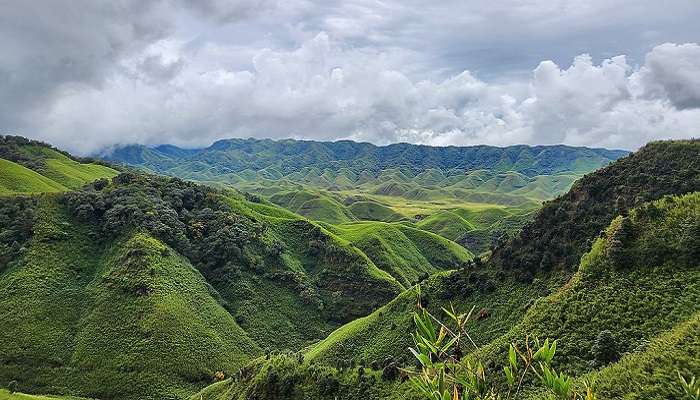 Enjoy a breathtaking view of Dzukou Valley 