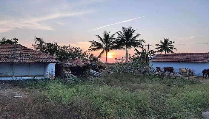 Sunset view in Podanur 