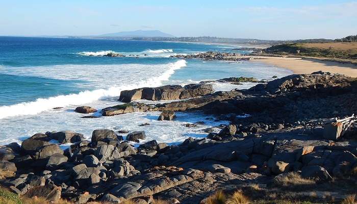 Warden Head Reserve Ulladulla