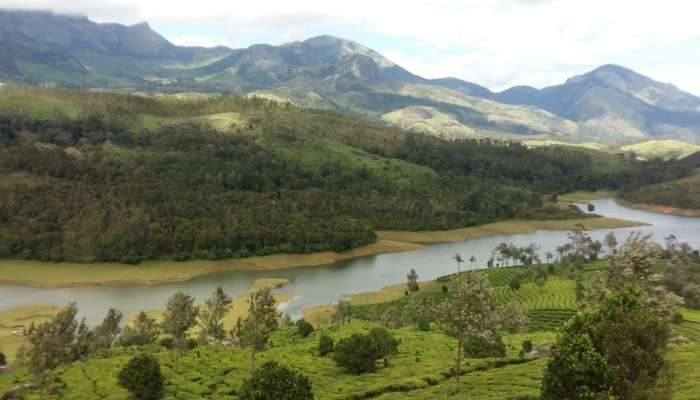 The view inside Eravikulam National Park to visit near the Mathikettan Shola National Park.