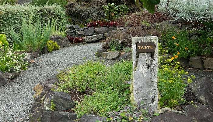 Scene at Whangārei Quarry Gardens