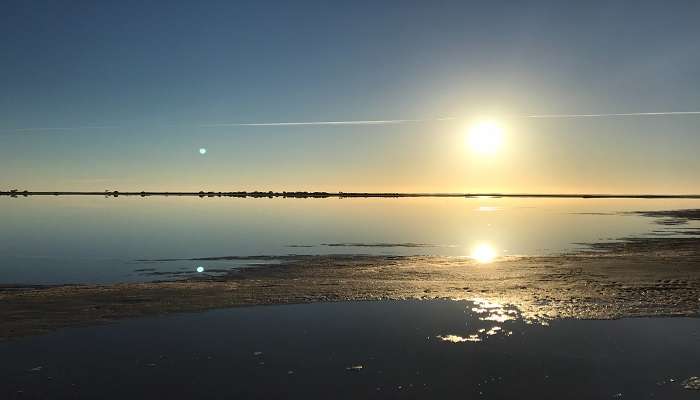 A beautiful view of the Tyrrell Lake 