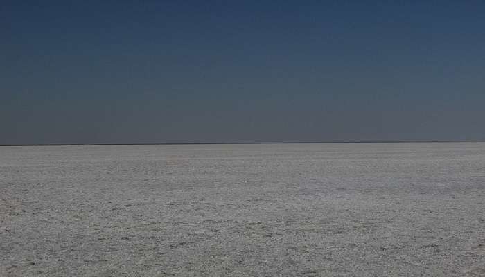 White dessert at Kutch.