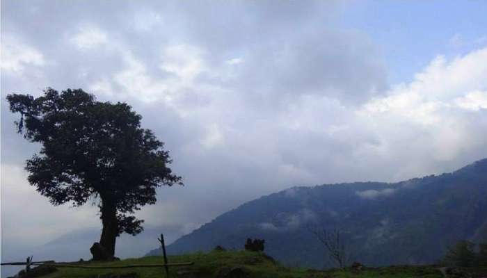 Natural stream in Kalimpong.