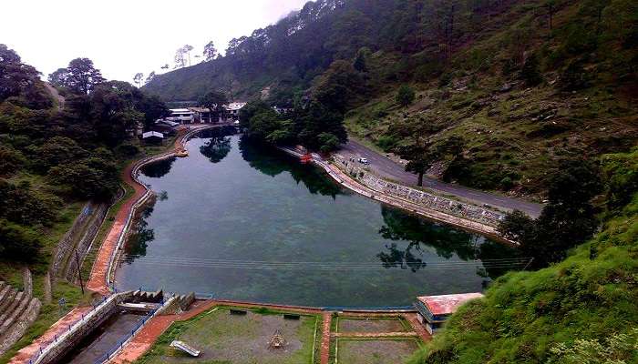 Sariyatal Nainital supports umpteen species of fauna and flora.