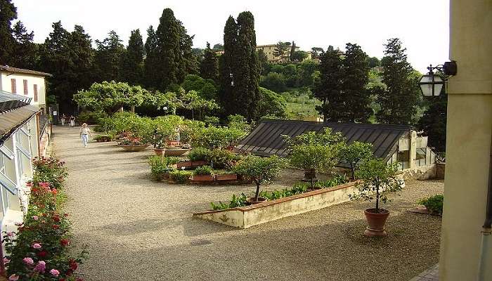 Giardino delle Rose or The Rose Garden