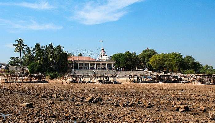 Serene waters of Gopnath Beach in Bhavnagar, Gujarat.