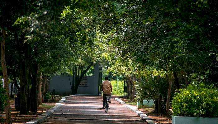 The lush green view of Guindy National Park 