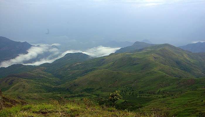 Palani hills to do the hiking.