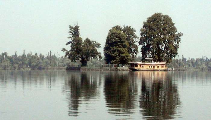 Four famous Chinar trees on Char Chinar Dal Lake.