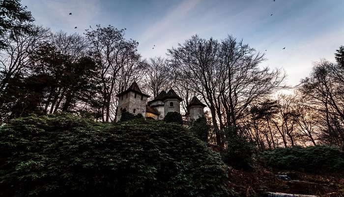 Have fun at the Efteling Amusement Park 