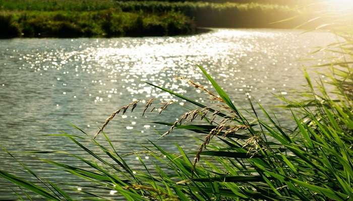 Witness the beauty of the Palak Lake