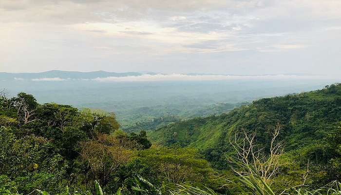 Go on a trek on the beautiful Jampui Hills