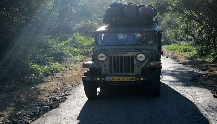 A jeep safari route in the Great Indian Bustard Sanctuary in Gujarat.