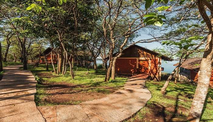 Jungle Lodges and Resorts, one of the Luxury resorts near Dubare Elephant Camp.