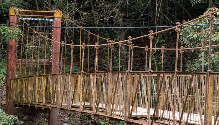  Kakkabe Bridge to Nalknad Palace route at Tadiandamol Peak. 