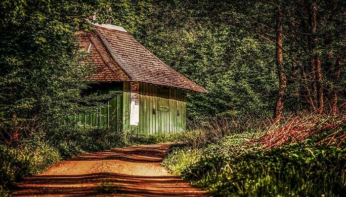 Kandath Tharavad is one of the best homestays in Palakkad.