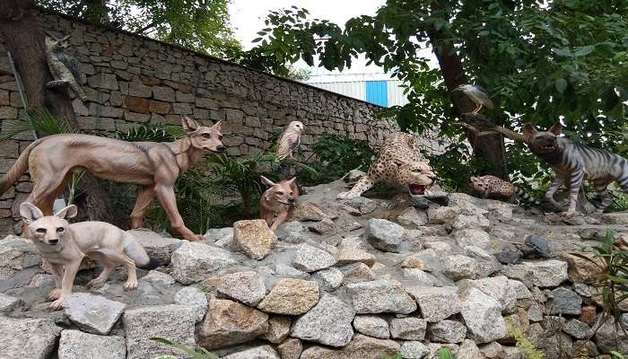 The animals at Kankaria Lake Zoo. 