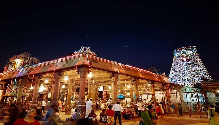 Night tour of Kapaleeswarar Temple near the hotels in Palavakkam.