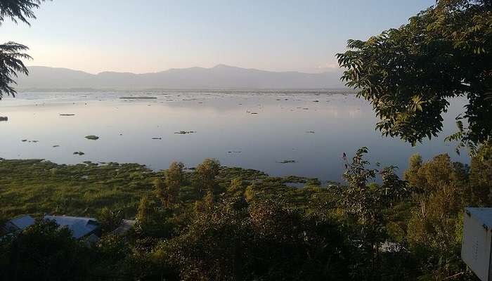 Witness the beauty of Keibul Lamjao National Park