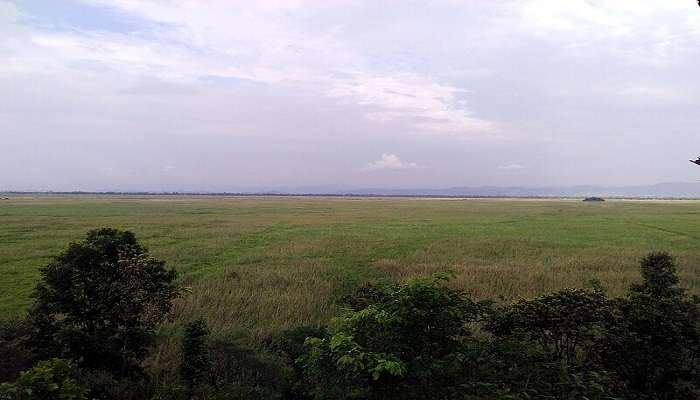 Visit the Keibul Lamjao National Park near Loktak Lake