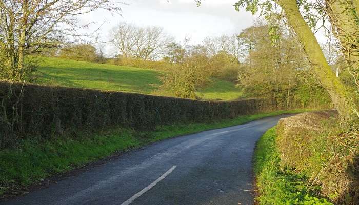 Tilstone Bank Lane giving a scenic view. 