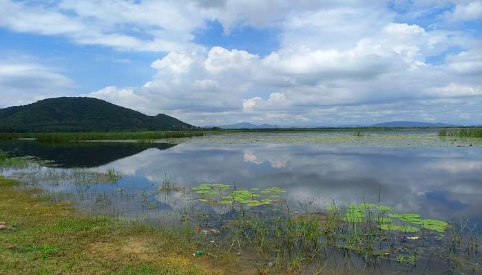 Kondakarla lake in Kondakarla Bird Sanctuary while staying at the top hotels in Lambasingi. 