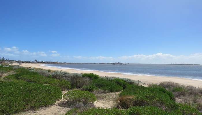 The beach at Koombana Bay, Bunbury, Western Australia, seen from near the Dolphin Discovery Centre. 