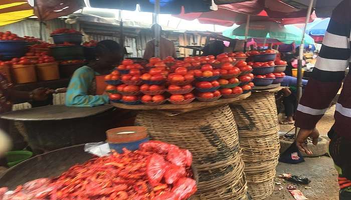 Kovilambakkam Local Markets near the hotel.