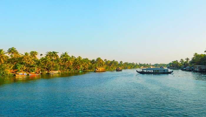 This river is home to numerous ducks that reside in the region near to Palarivattom. 