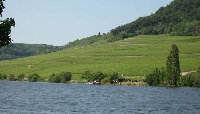 La vue magnifique de vallée de la Moselle