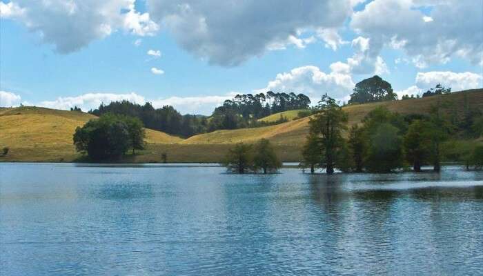 Lake in McLaren Falls Park near Tauranga, New Zealand