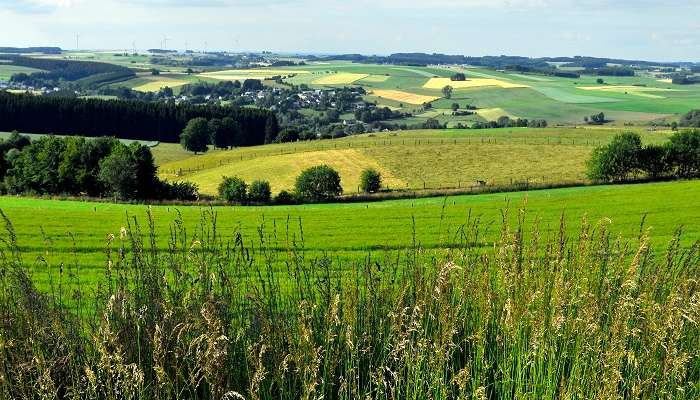 La belle vue des Parcs en Lees Ardennes