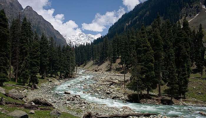 Visit Lidder River flowing through Pahalgam Valley near Wadiy e Hajan