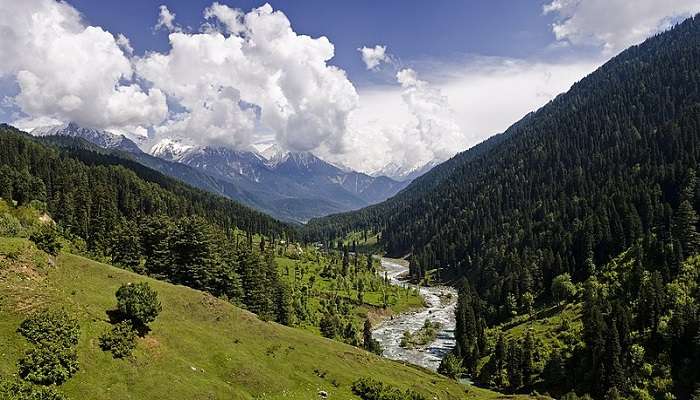 Lush green surroundings of Lidder River Pahalgam in Kashmir Valley.