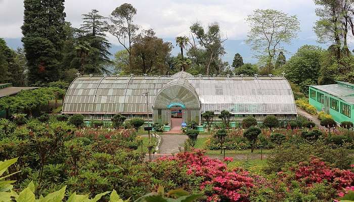 Lloyd Botanical Garden near Tenzing Rock Darjeeling.