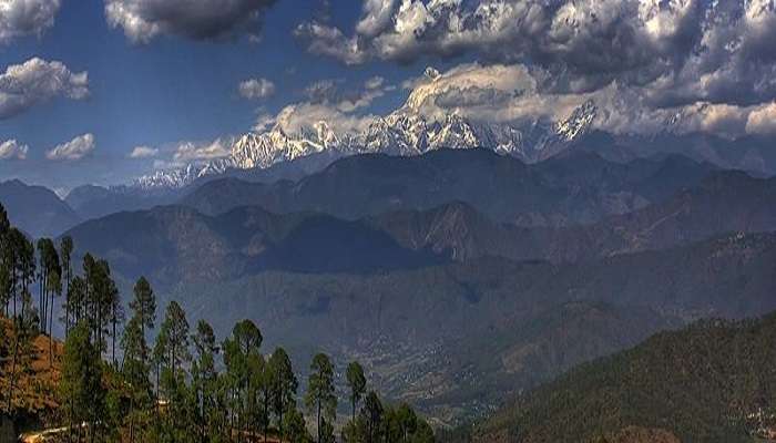 Harmonious Blend of Nature at Anasakti Ashram