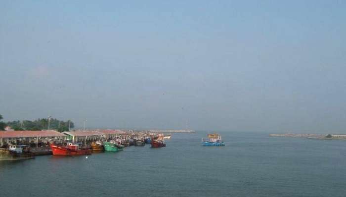 Witness the early morning fishing operations at Neendakara Port!