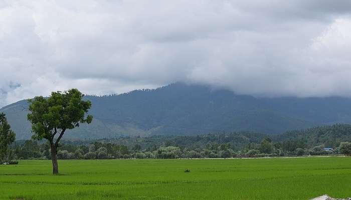 Panoramic view of Lolab Valley in Kupwara