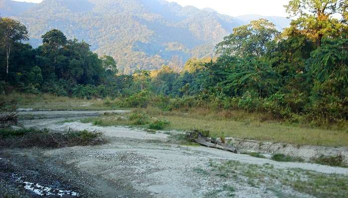 Enjoy visiting the rare animals at the Manas National Park