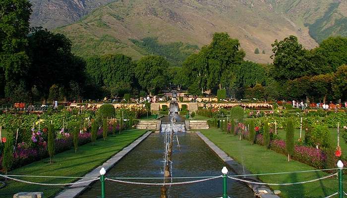 The green and beautiful Nishat Bagh Mughal Gardens in Srinagar.