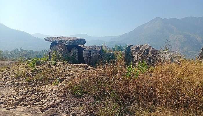 Muniyara Dolmens in Marayoor