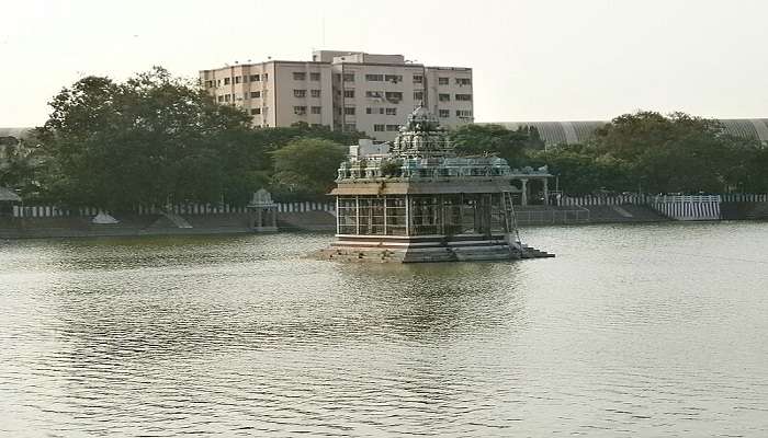 The serene view of Mylapore Tank to visit near the hotels in Mylapore.