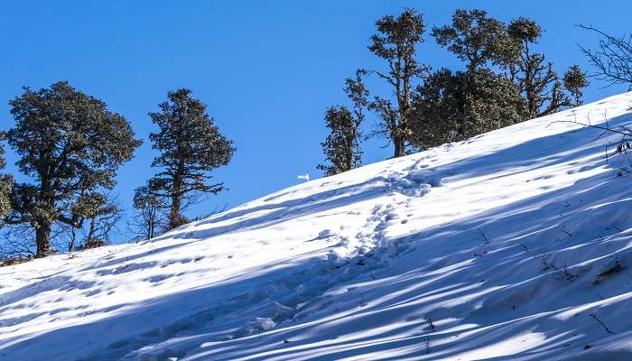  Snow capped mountains of Nag Tibba, near New Tehri. 