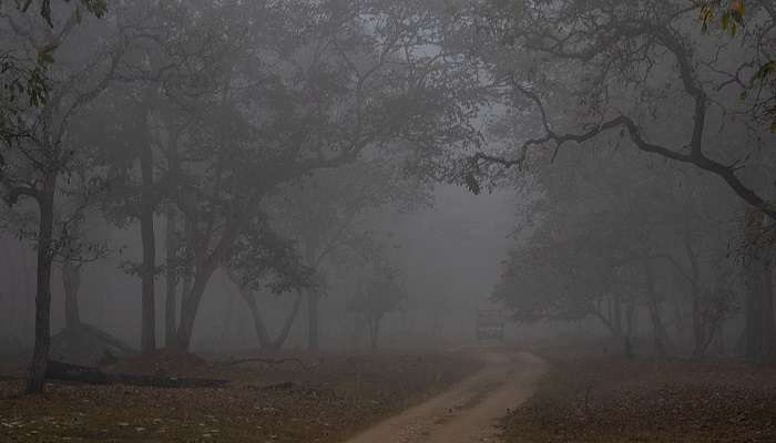 Jeep safari at Nagarhole National Park